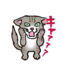 ダルねこ日常（個別スタンプ：21）