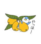 野菜とペンギン（個別スタンプ：2）