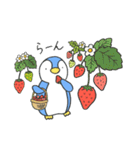 野菜とペンギン（個別スタンプ：13）