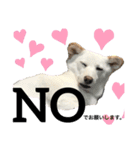 ミックスU・x・U（個別スタンプ：3）