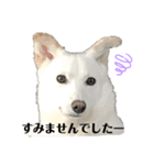 ミックスU・x・U（個別スタンプ：4）