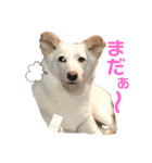 ミックスU・x・U（個別スタンプ：9）