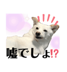 ミックスU・x・U（個別スタンプ：10）