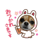 Omi＆Luna（個別スタンプ：7）