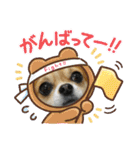 Omi＆Luna（個別スタンプ：11）