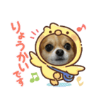 Omi＆Luna（個別スタンプ：12）