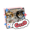 Omi＆Luna（個別スタンプ：22）