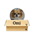 Omi＆Luna（個別スタンプ：25）