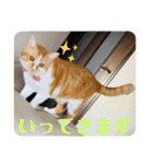 みこぼて（個別スタンプ：7）