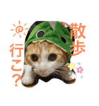 むぎたんの日常④（個別スタンプ：2）