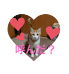 むぎたんの日常④（個別スタンプ：8）