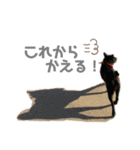 うにウニスタンプ（個別スタンプ：20）