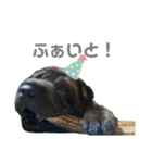 うにウニスタンプ（個別スタンプ：22）