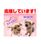 赤いりぼんの仲間達②（個別スタンプ：4）