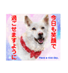 赤いりぼんの仲間達②（個別スタンプ：5）