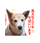 赤いりぼんの仲間達②（個別スタンプ：6）