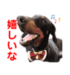 赤いりぼんの仲間達②（個別スタンプ：7）
