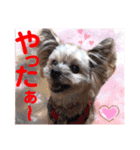 赤いりぼんの仲間達②（個別スタンプ：8）