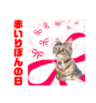 赤いりぼんの仲間達②（個別スタンプ：10）