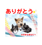 赤いりぼんの仲間達②（個別スタンプ：11）