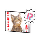 赤いりぼんの仲間達②（個別スタンプ：16）