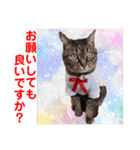 赤いりぼんの仲間達②（個別スタンプ：20）