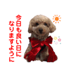 赤いりぼんの仲間達②（個別スタンプ：21）