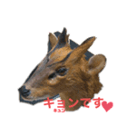 ジビる（個別スタンプ：1）