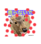 ジビる（個別スタンプ：7）