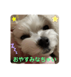 ❤️☀️めりる☀️❤️（個別スタンプ：4）