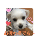 ❤️☀️めりる☀️❤️（個別スタンプ：5）