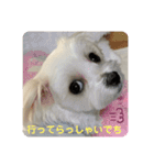 ❤️☀️めりる☀️❤️（個別スタンプ：7）