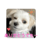 ❤️☀️めりる☀️❤️（個別スタンプ：9）