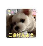 ❤️☀️めりる☀️❤️（個別スタンプ：11）