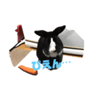 にすとのすたんぷ（個別スタンプ：4）
