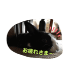 にすとのすたんぷ（個別スタンプ：8）