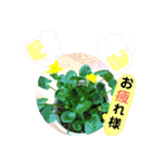 夢みるゆめ子（個別スタンプ：7）