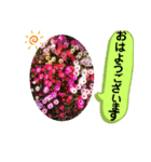 夢みるゆめ子（個別スタンプ：16）