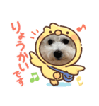 ビションフリーゼ犬なごみです。2（個別スタンプ：2）