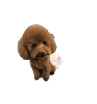 れお 元気です（個別スタンプ：2）