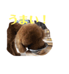 れお 元気です（個別スタンプ：3）