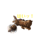 れお 元気です（個別スタンプ：4）