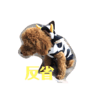 れお 元気です（個別スタンプ：5）