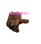 れお 元気です（個別スタンプ：13）