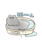 くろい けだま（個別スタンプ：29）