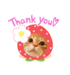 ねこのチロちゃん。（個別スタンプ：3）