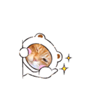 ねこのチロちゃん。（個別スタンプ：15）