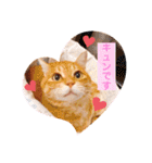ねこのチロちゃん。（個別スタンプ：17）