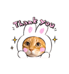 ねこのチロちゃん。（個別スタンプ：18）