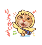 ねこのチロちゃん。（個別スタンプ：24）